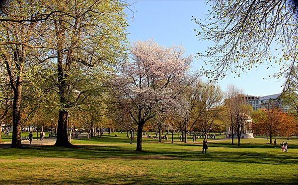 193-Boston Common